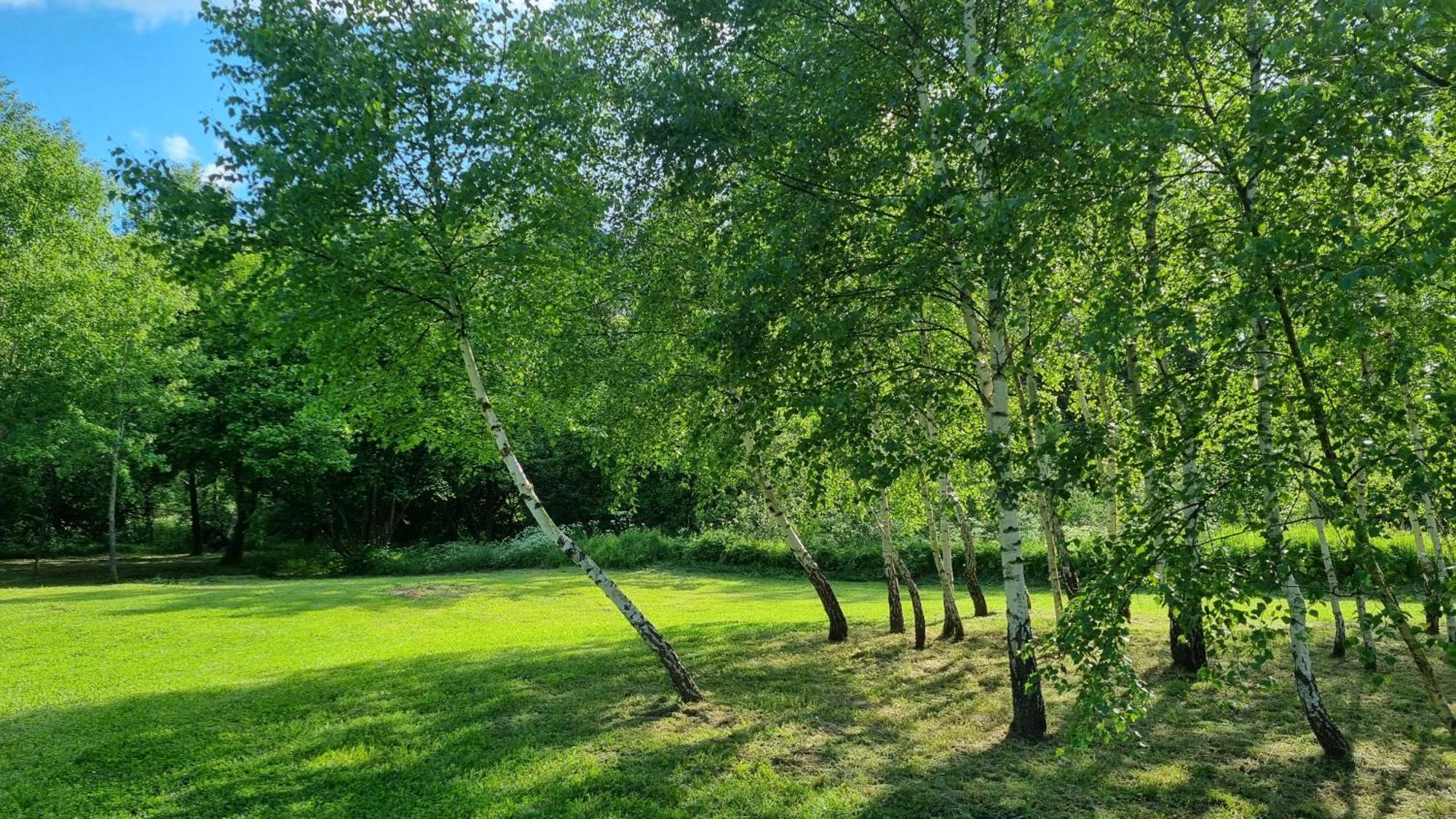 Leśniczówka Kalina Wetlina Exterior foto